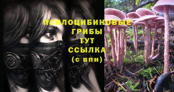 спиды Абаза