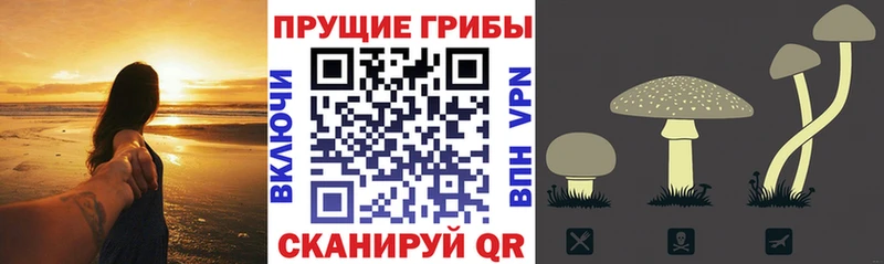 Псилоцибиновые грибы прущие грибы Черкесск