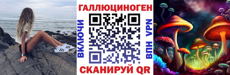 Псилоцибиновые грибы MAGIC MUSHROOMS  Черкесск 